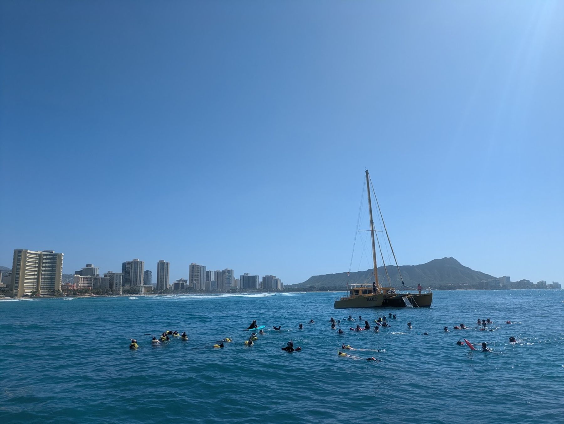 Photo 1 of Turtles and You in Waikīkī, Oahu