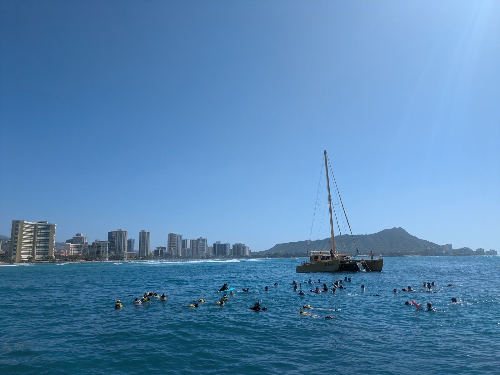 Photo 1 of Turtles and You in Waikīkī, Oahu