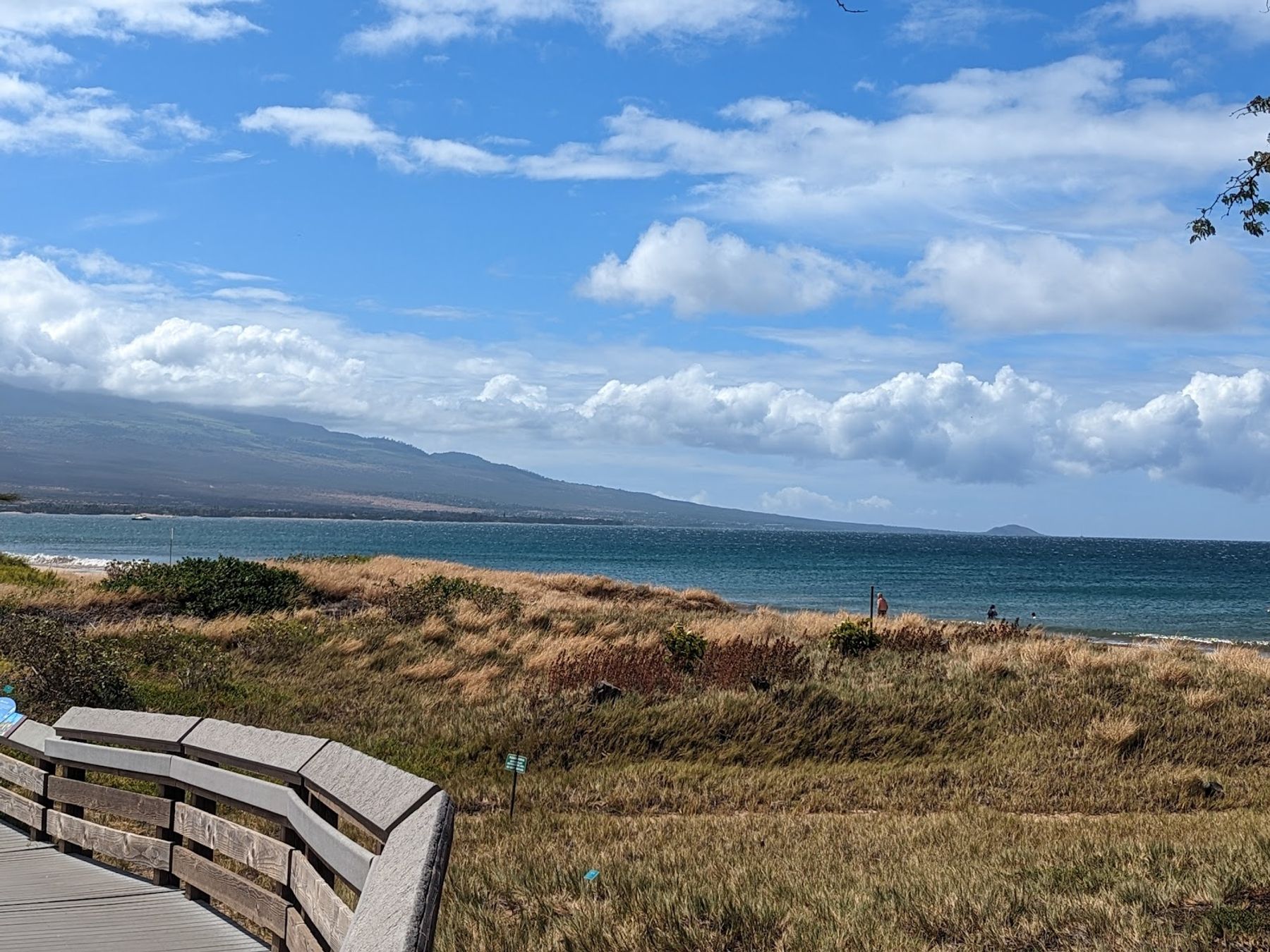 Photo 8 of Keālia Pond National Wildlife Refuge in Kīhei, Maui