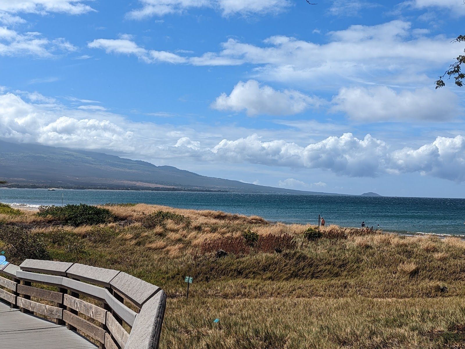 Photo 8 of Keālia Pond National Wildlife Refuge in Kīhei, Maui