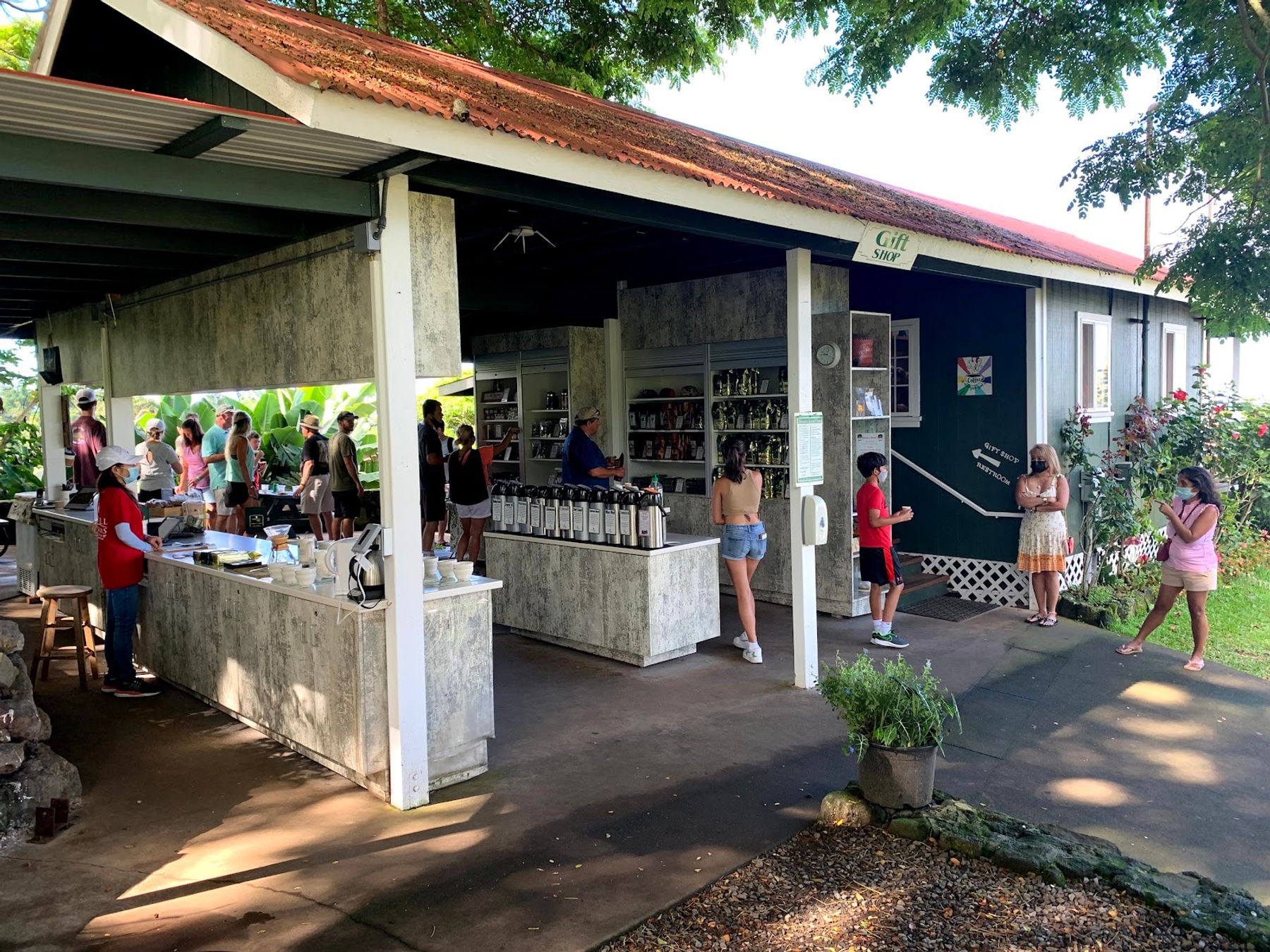 Photo 2 of Greenwell Farms in South Kona, Big Island