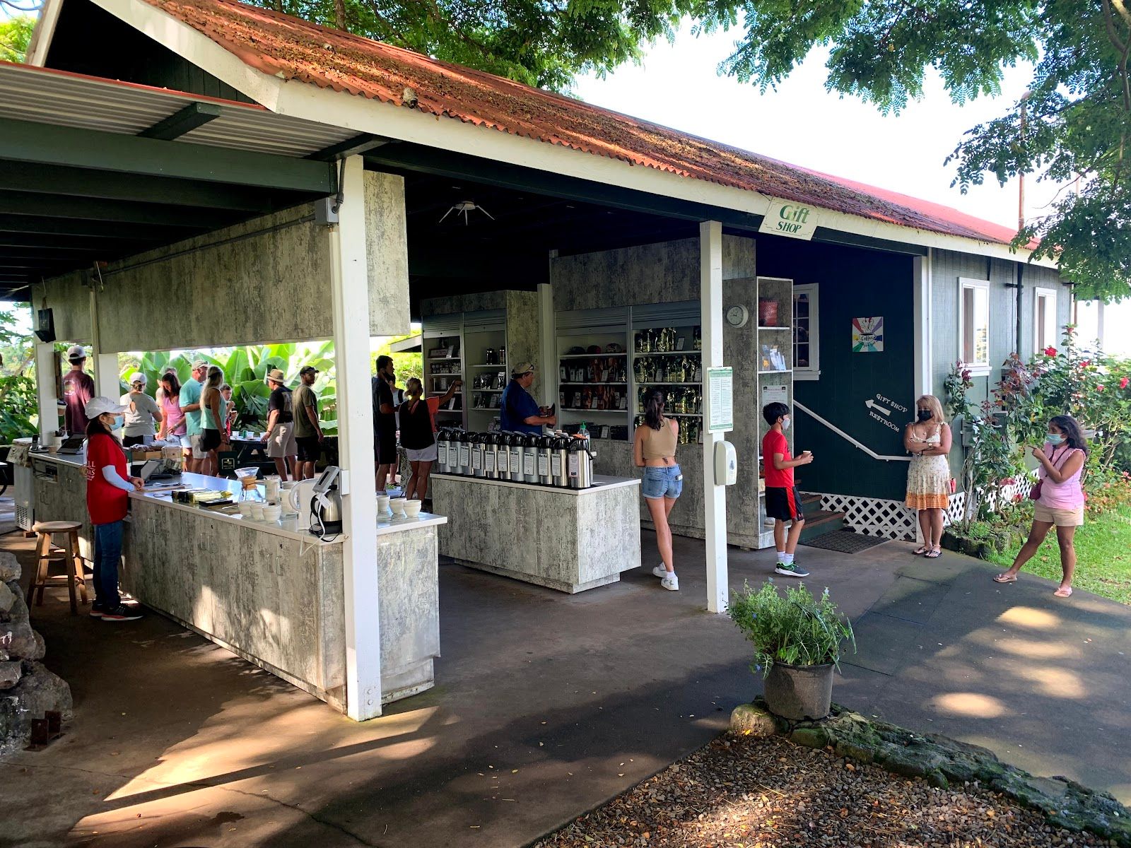 Photo 2 of Greenwell Farms in South Kona, Big Island