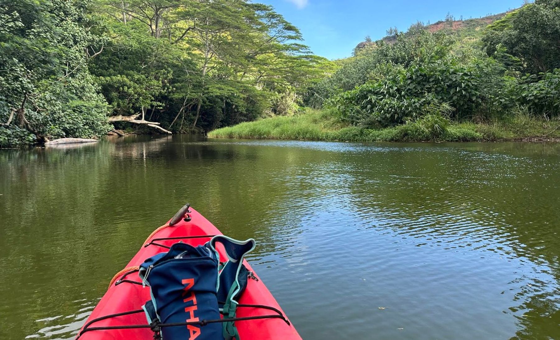 Uluwehi (Secret) Falls in Kapaʻa, Kaua‘i photo 2