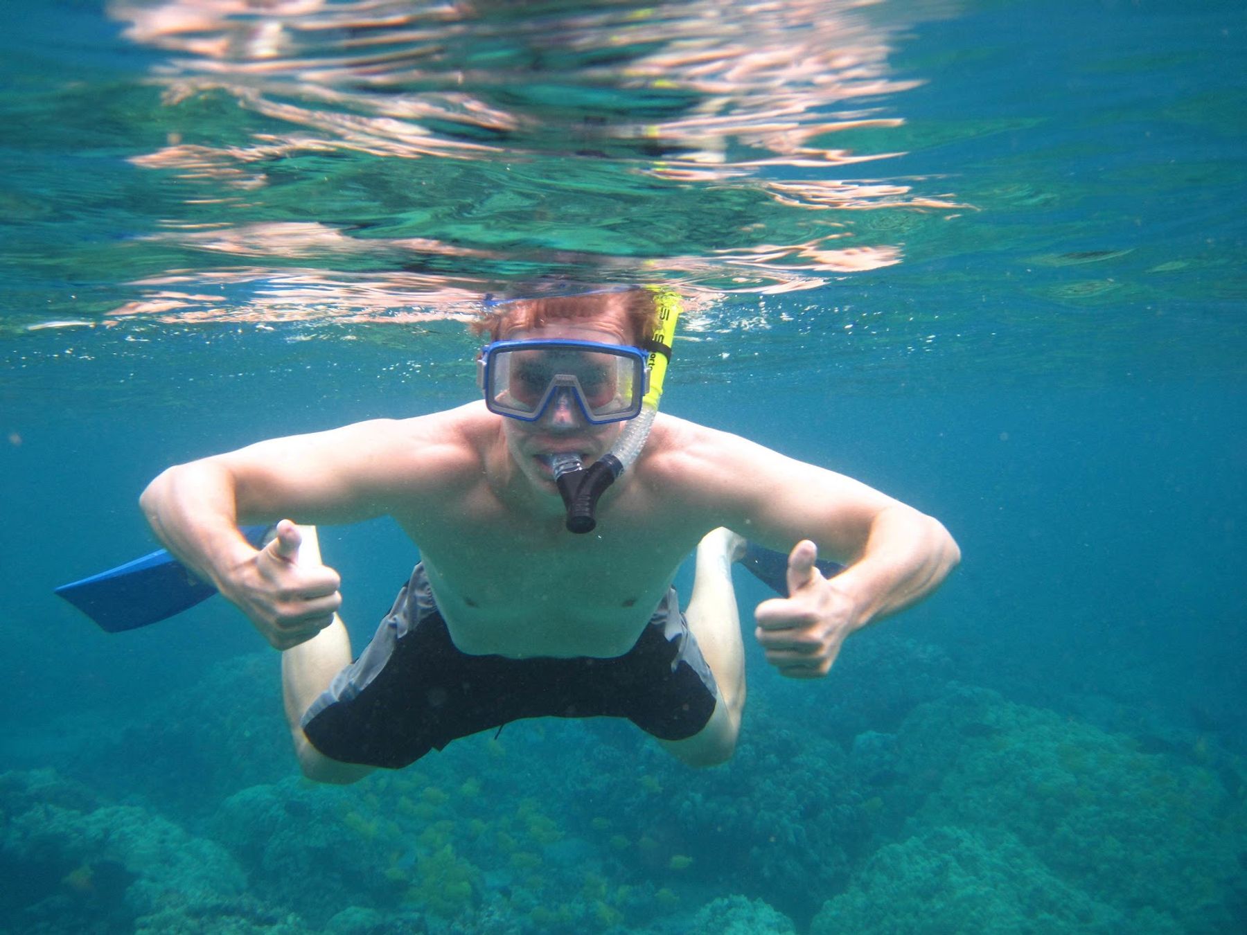 Photo 10 of Dolphin Discoveries- Snorkel Tour Check-in and Boutique in Kailua-Kona, Big Island