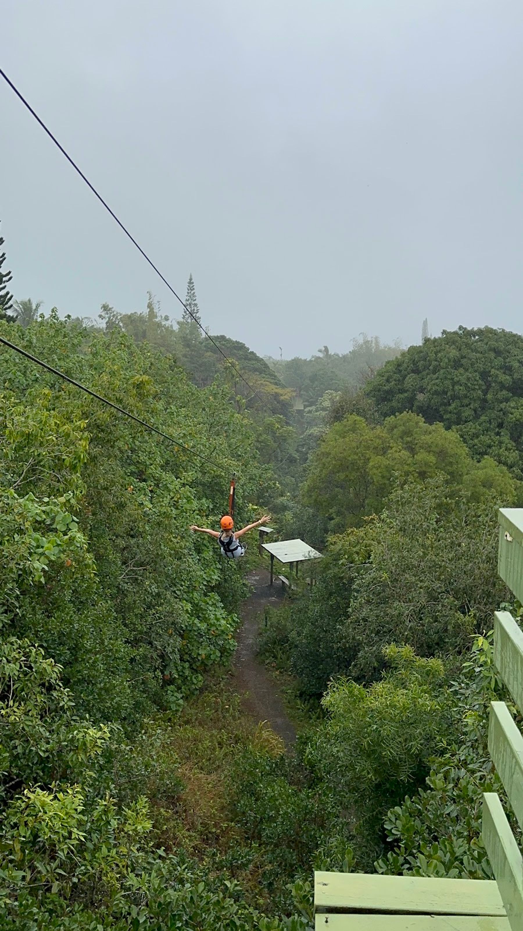 Photo 8 of Jungle Zipline Maui-HI in Haʻikū, Maui