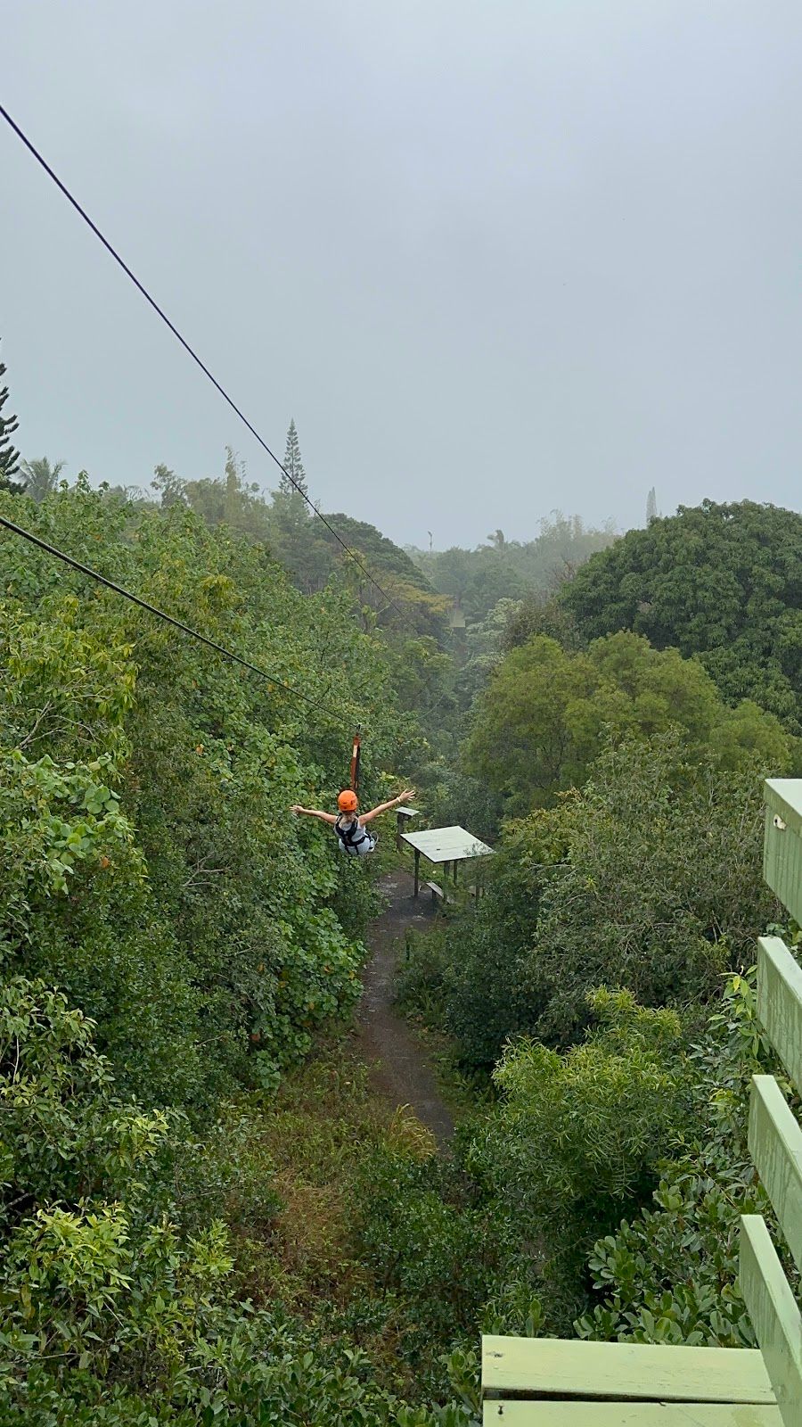 Photo 8 of Jungle Zipline Maui-HI in Haʻikū, Maui