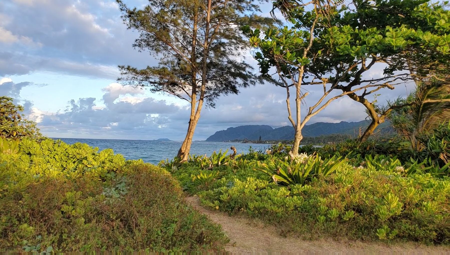 Photo 5 of Lāʻielohelohe Beach Park in Lāʻie, Oahu