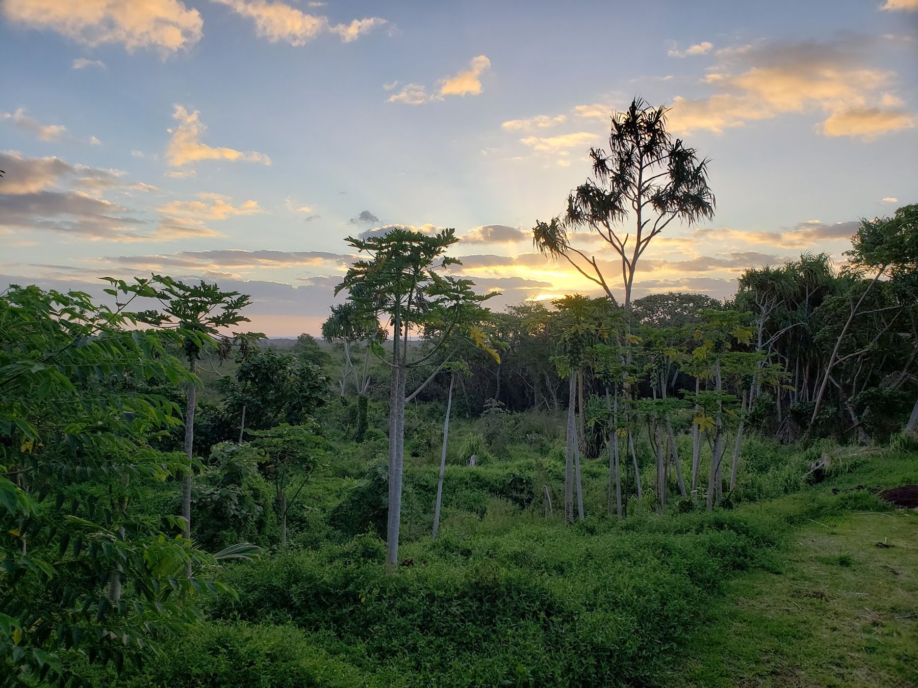 Photo 7 of Kirpal Meditation and Ecological Center in Kalapana, Big-island