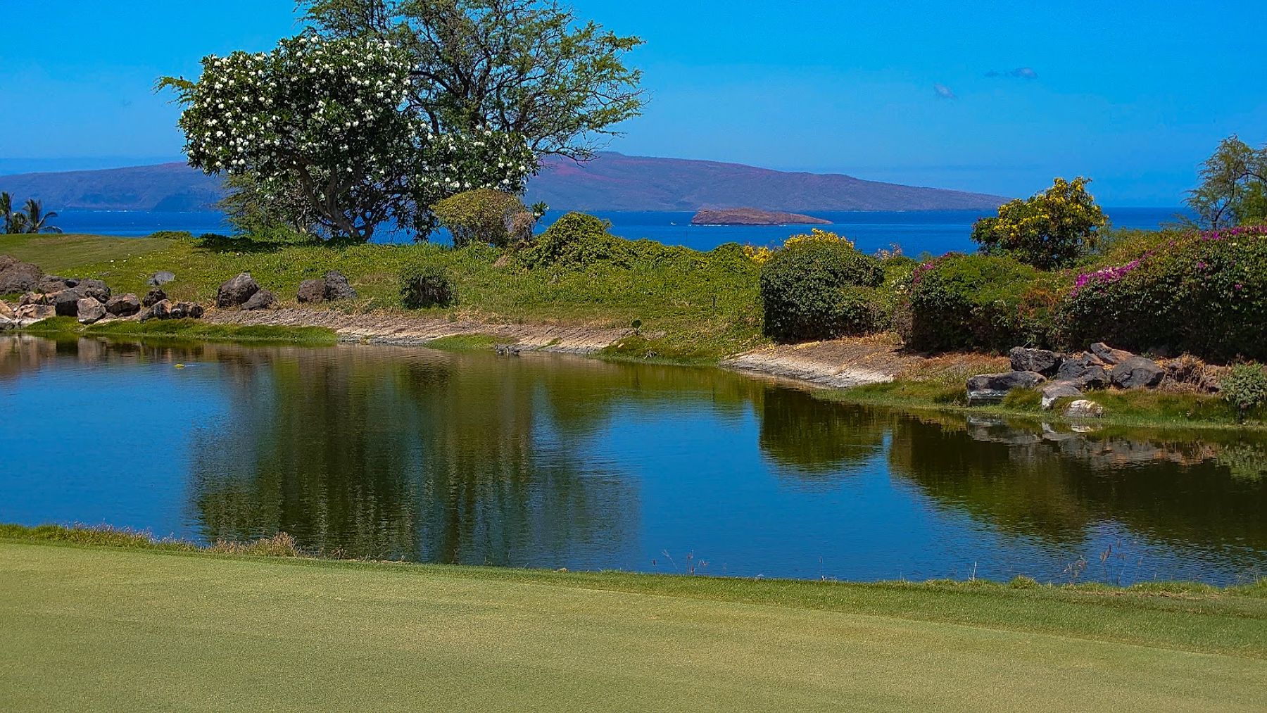 Photo 4 of Emerald Golf Course in Wailea, Maui