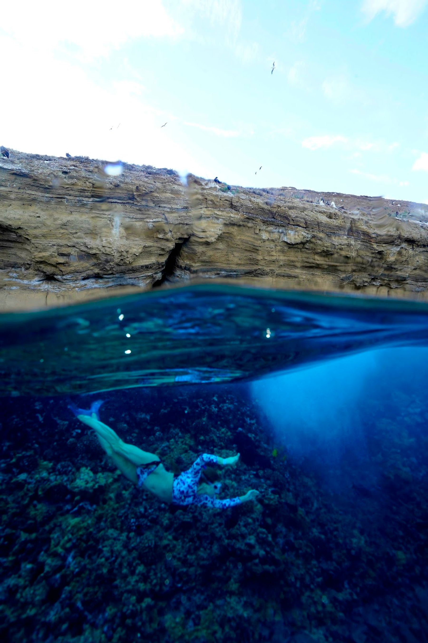 Photo 2 of Snorkel Molokini in Kapalua, Maui