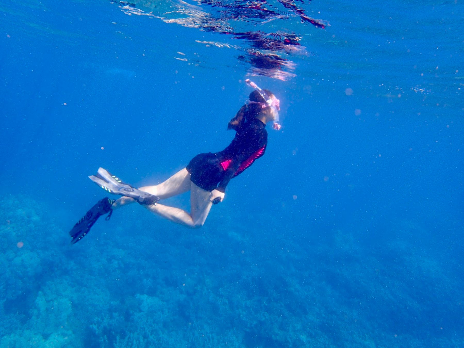 Photo 6 of Hawaiian Paddle Sports LLC in Kīhei, Maui
