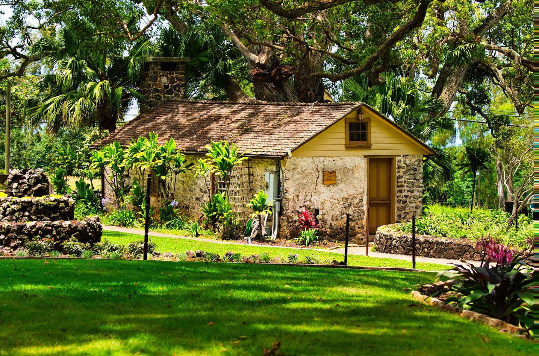Photo 8 of MauiWine in Ulupalakua, Maui