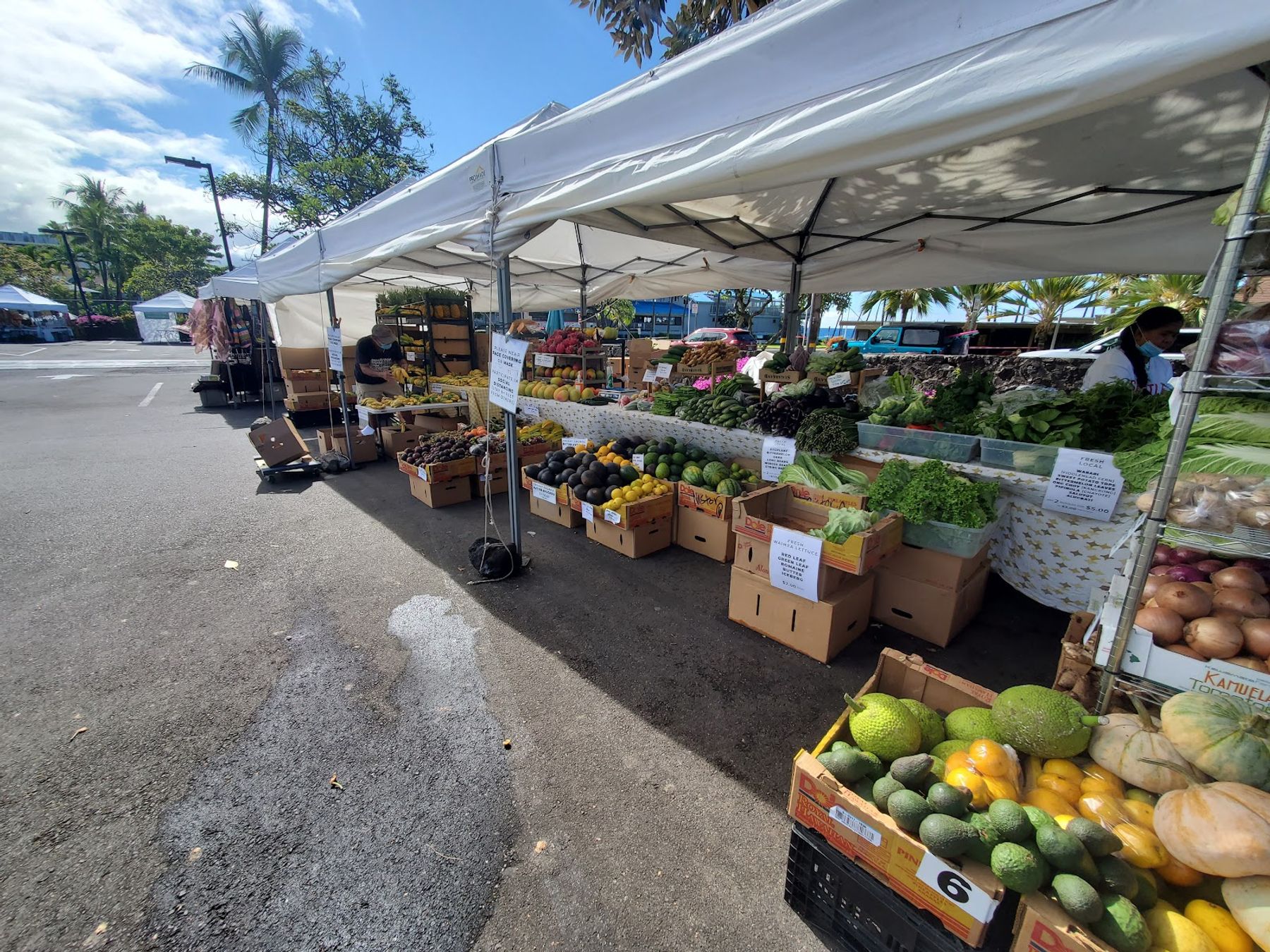 Photo 5 of Kona Farmers Market in Kailua-Kona, Big Island