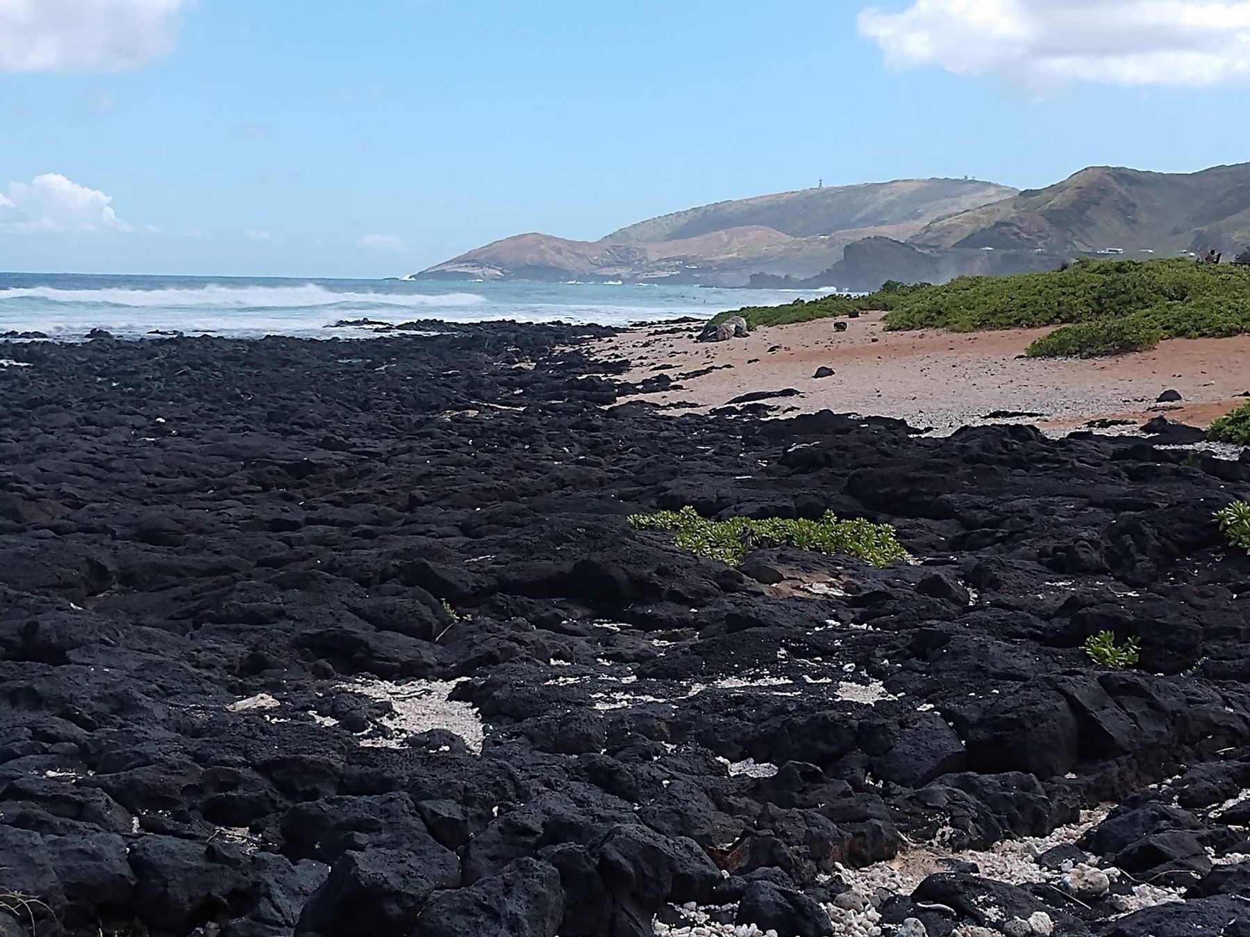 Photo 2 of Wawamalu Beach in Hawaiʻi Kai & East Honolulu, Oahu