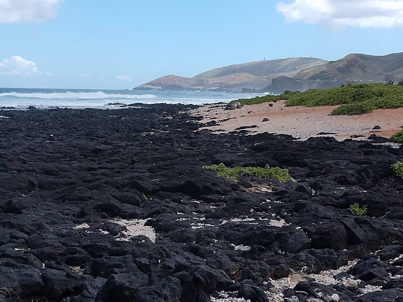 Photo 2 of Wawamalu Beach in Hawaiʻi Kai & East Honolulu, Oahu
