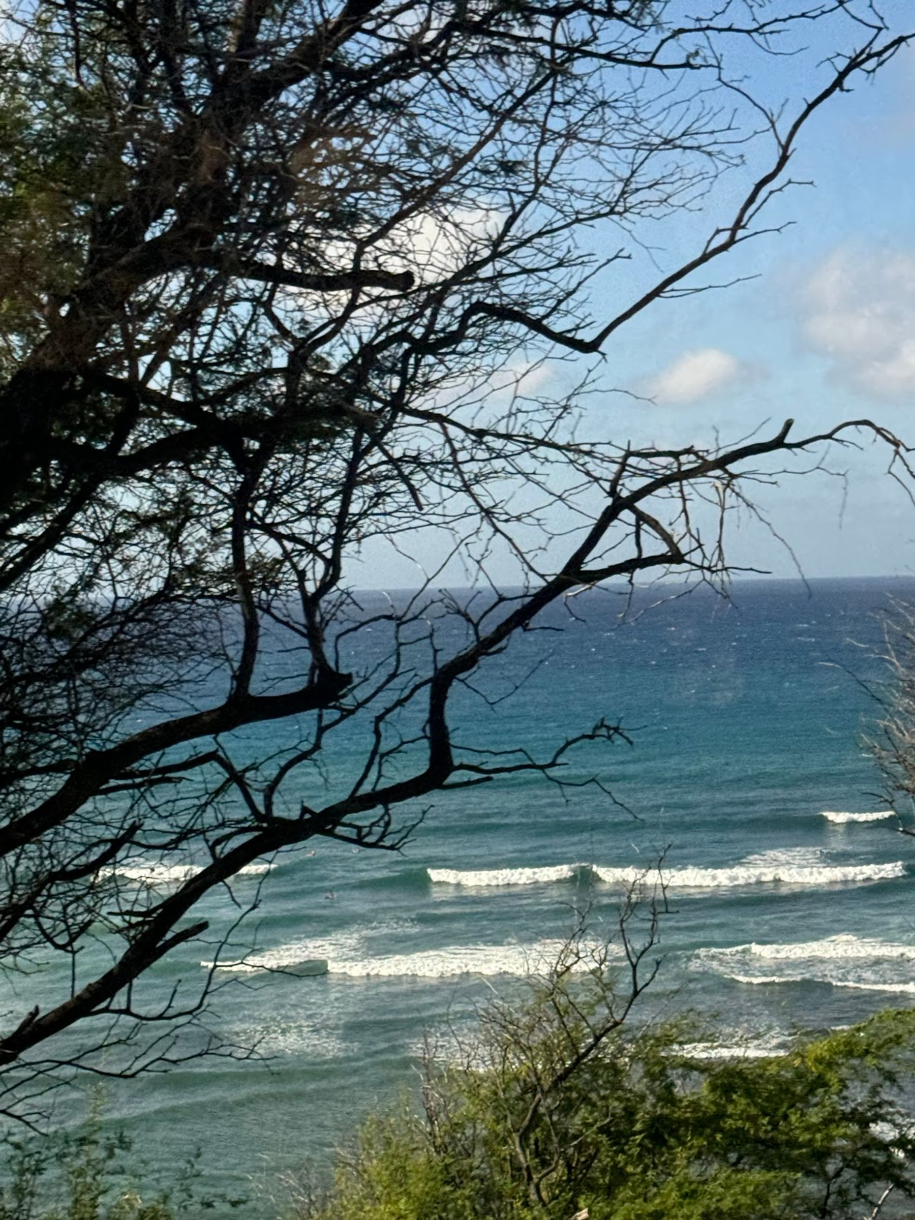 Photo 10 of Oahu Nature Tours in ʻEwa Beach, Oahu