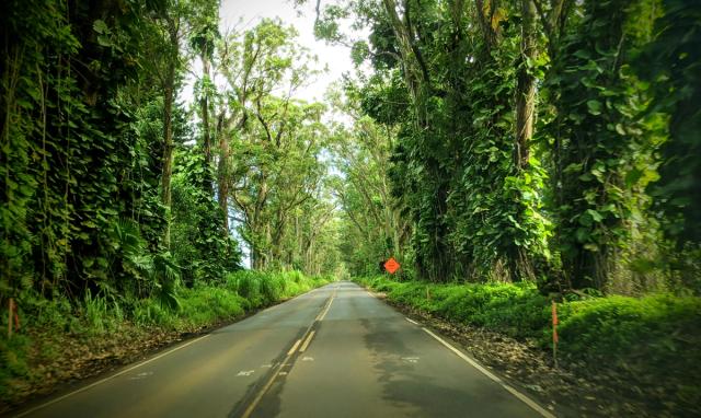 Kauai by Region: How to Choose Where to Stay