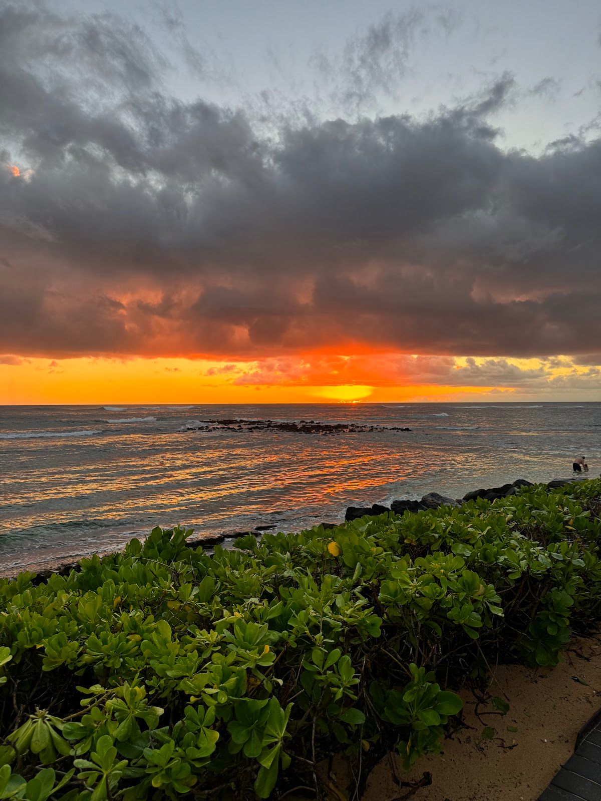 Photo 9 of Honu Bar in Poʻipū, Kauai