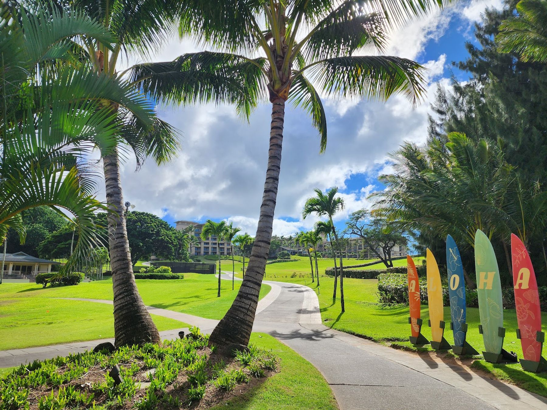 Photo 6 of D.T. Fleming Beach Park in Kapalua, Maui