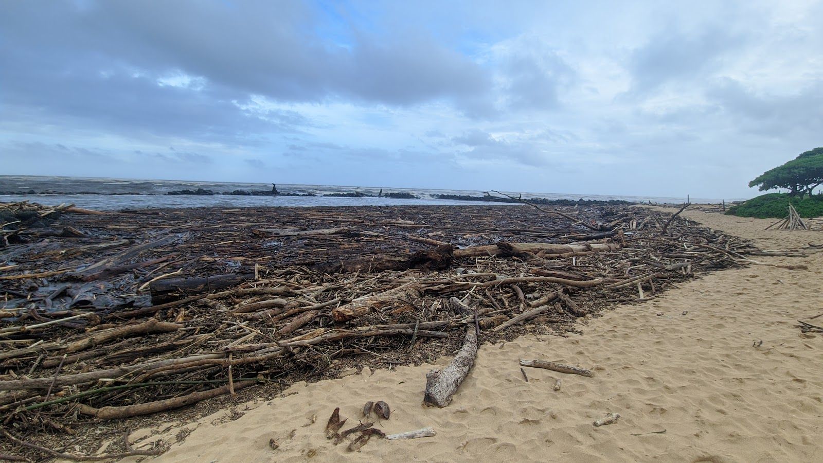 Lydgate Park Pools in Lihue, Kaua‘i photo 4