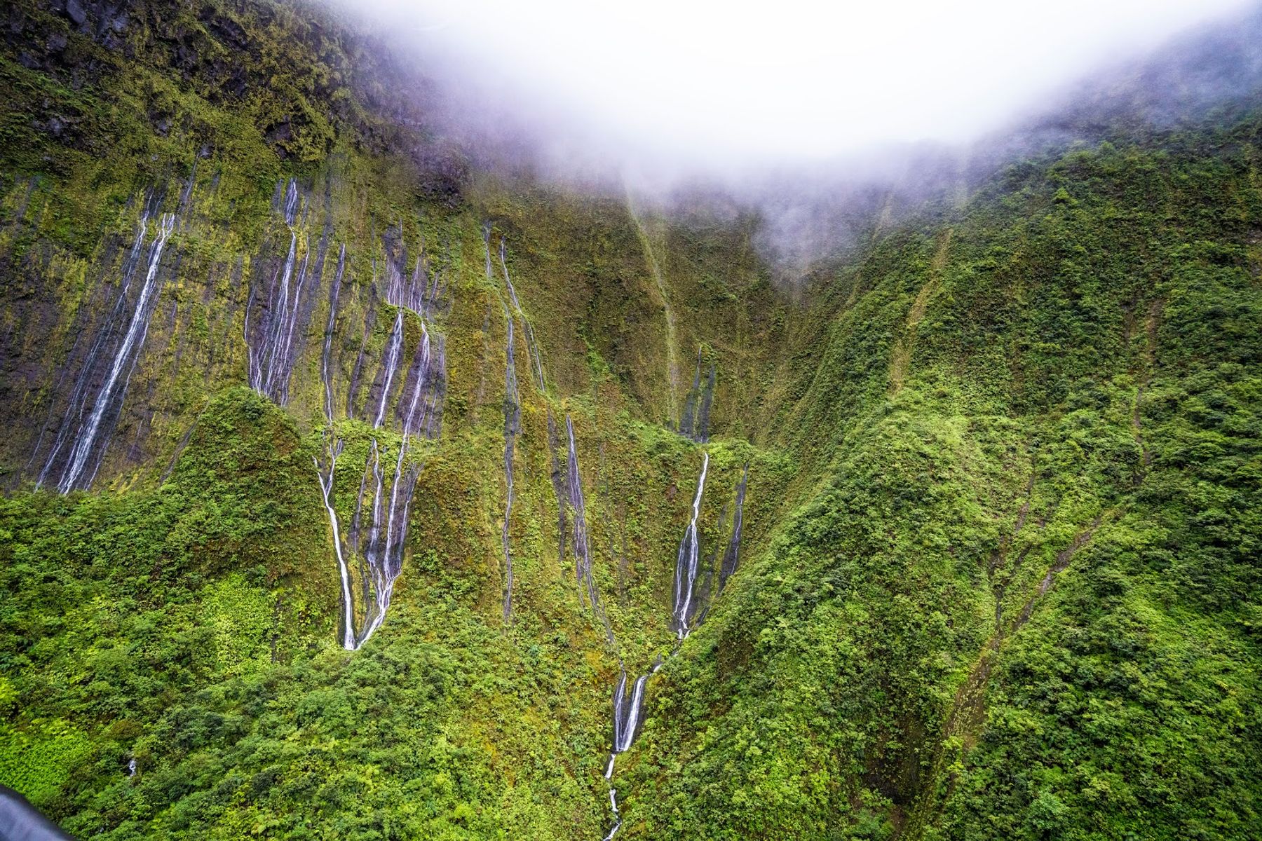 Photo 6 of Go Fly Maui in Kahului, Maui