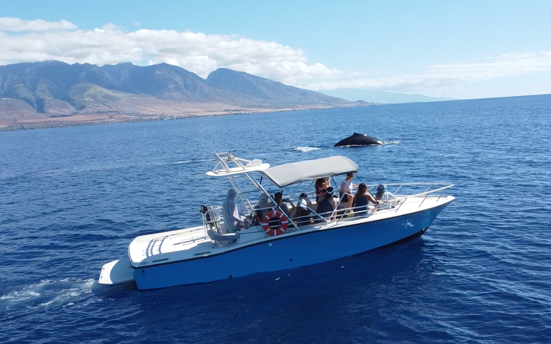 Photo 1 of Maui Whale Adventures in Kāʻanapali, Maui