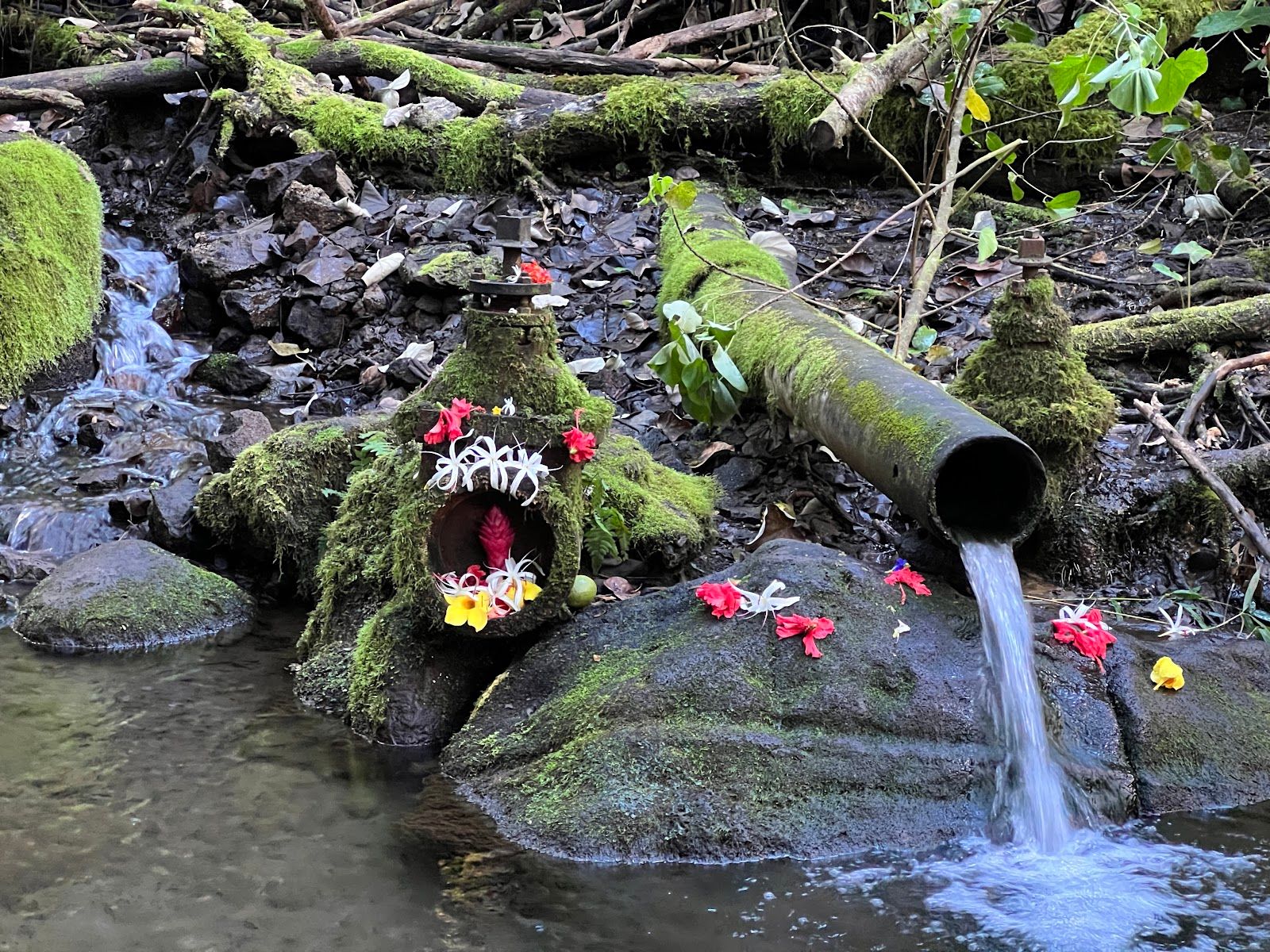 Makaleha Trailhead in Kapaʻa, Kaua‘i photo 2