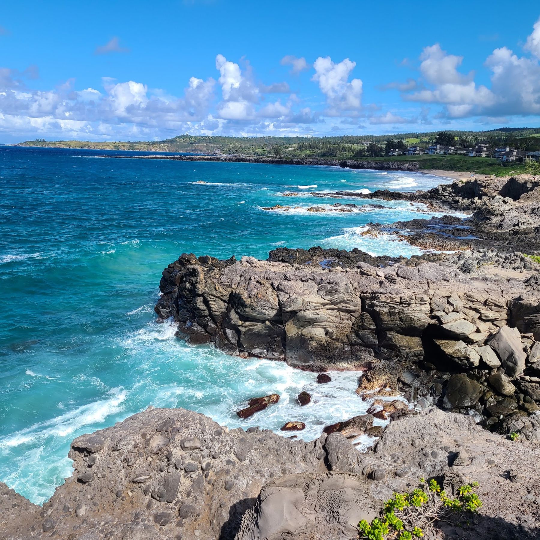 Photo 1 of Ironwood Cliffs in Kapalua, Maui