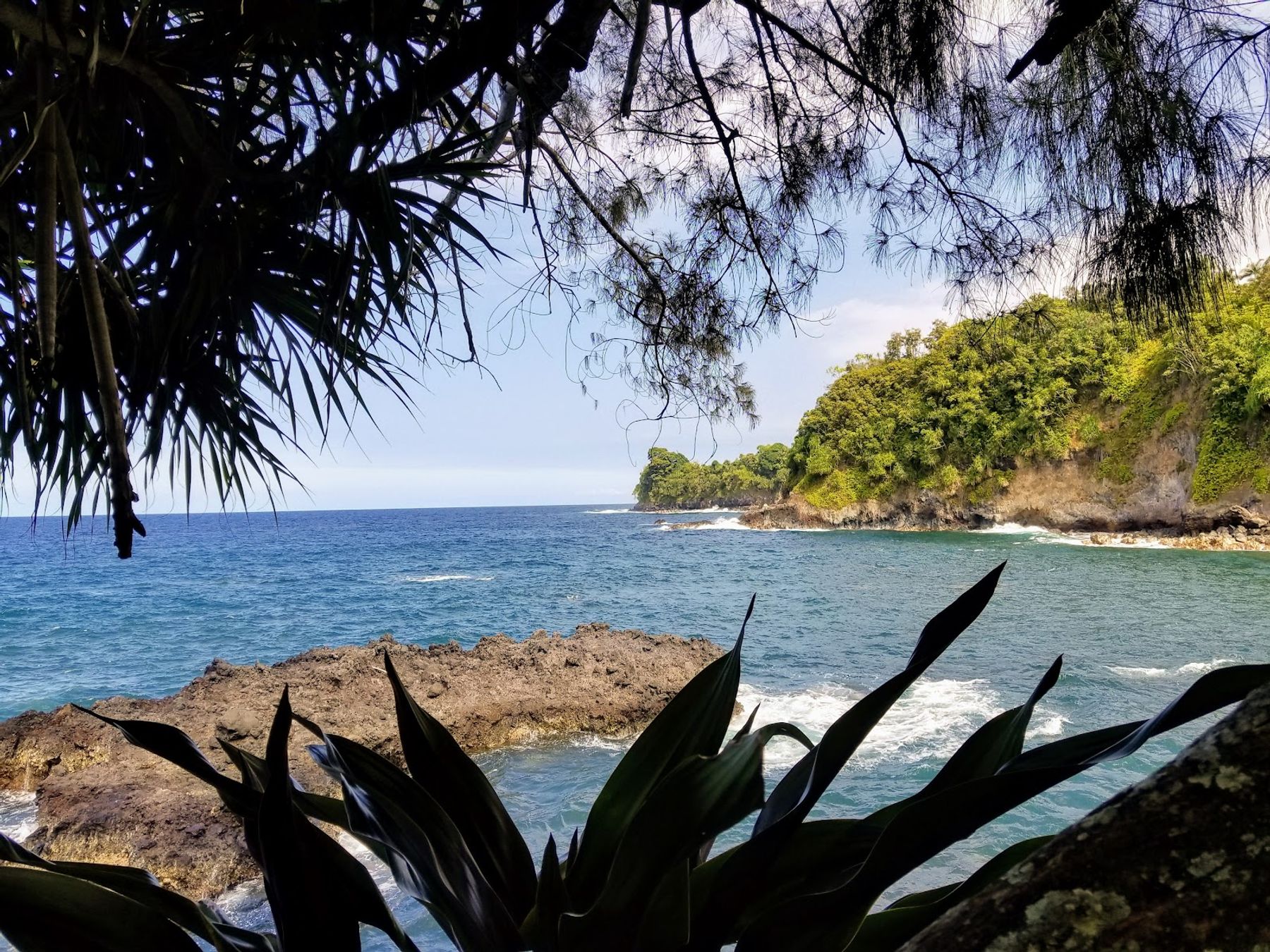 Photo 9 of Onomea Bay Trail in Greater Hilo, Big Island