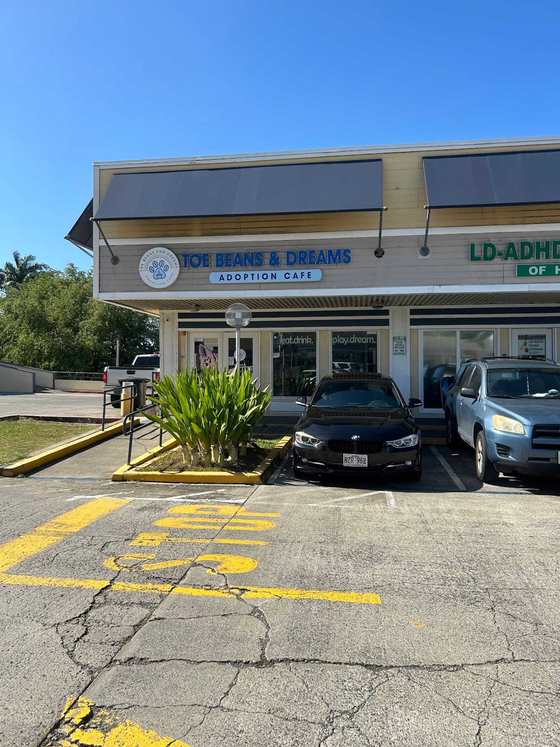 Photo 10 of Toe Beans & Dreams Adoption Cafe in Pearl Harbor & ʻAiea, Oahu