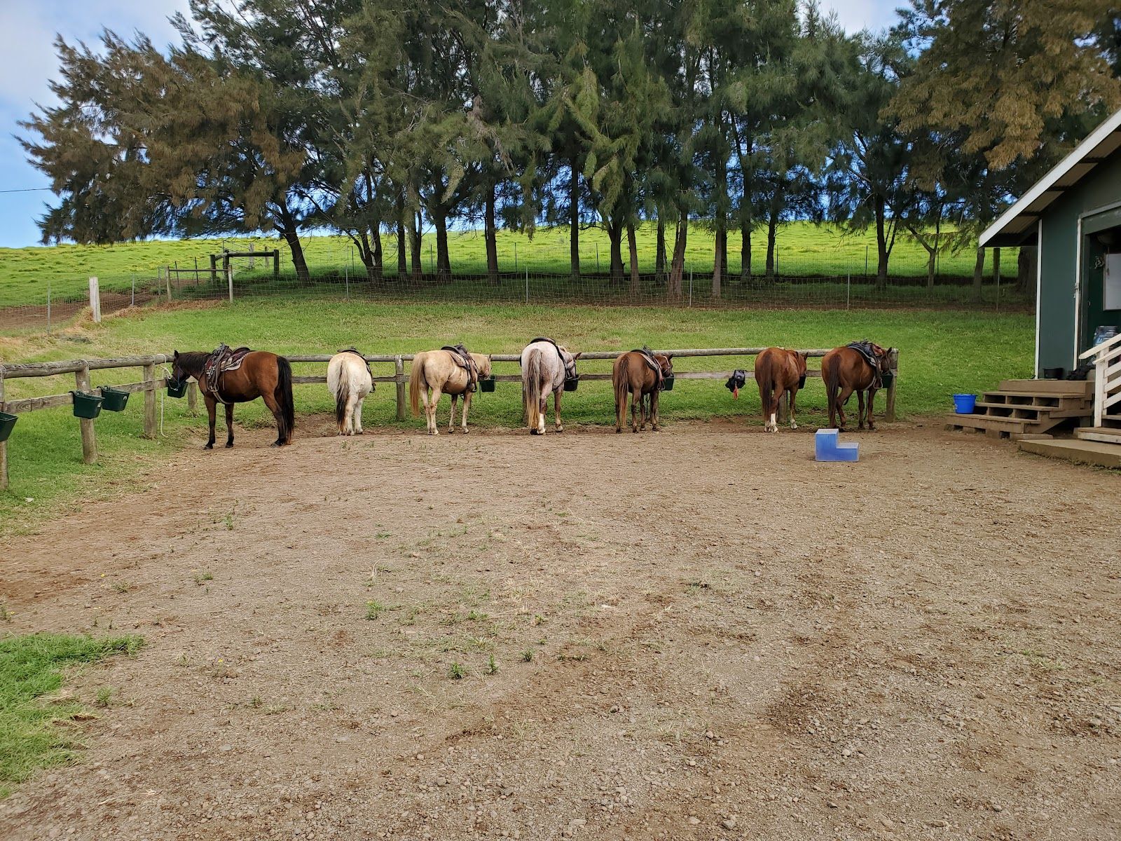 Photo 1 of Kahua Ranch Ltd in Waimea, Big Island