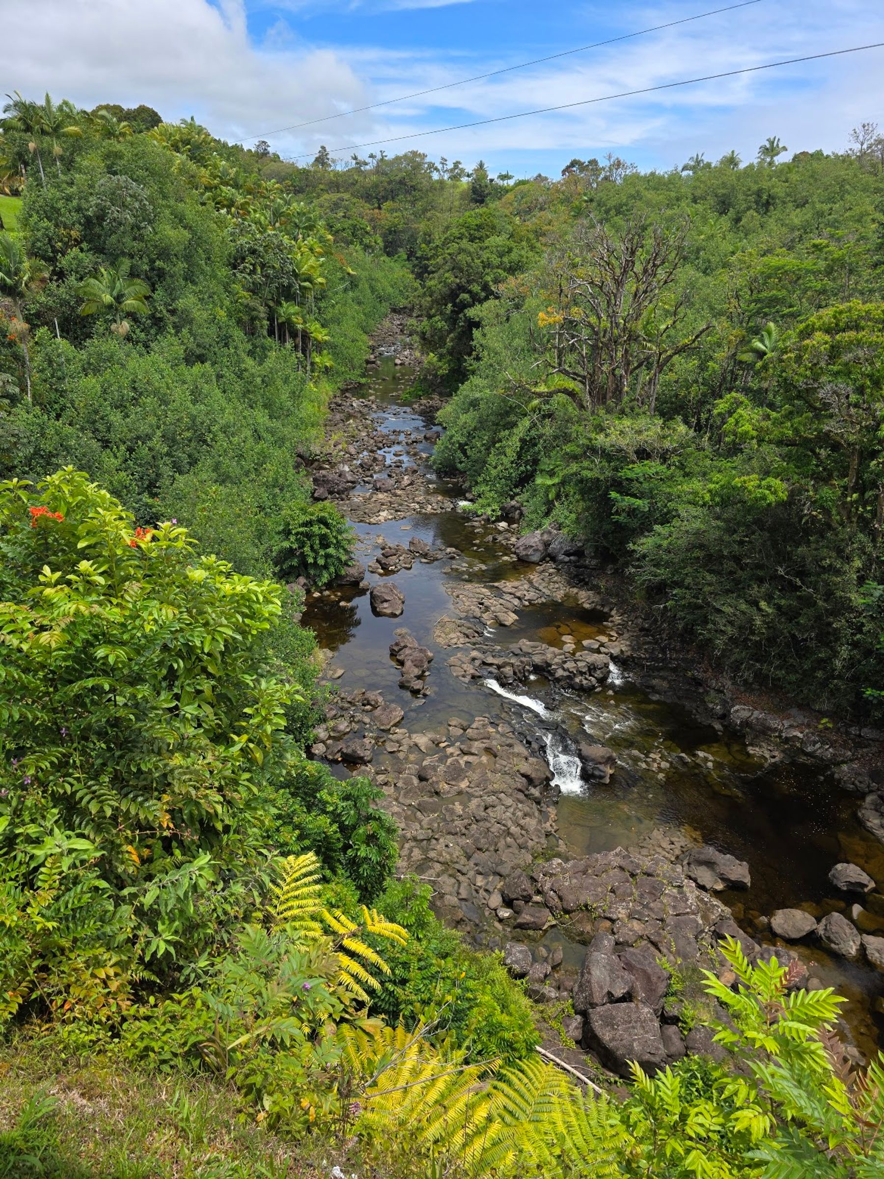 Photo 3 of The Umauma Experience in Greater Hilo, Big Island