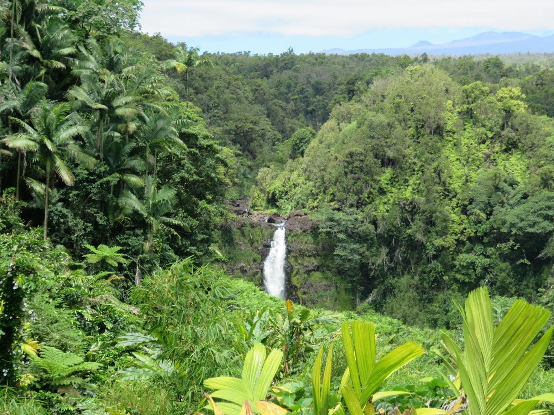Photo 4 of Onomea Bay Trail in Greater Hilo, Big Island