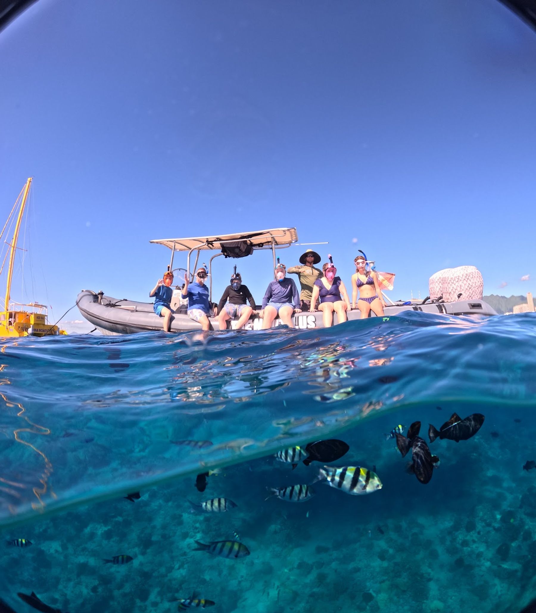Photo 1 of Captain Max Boat Tours in Ala Moana & Mōʻiliʻili, Oahu