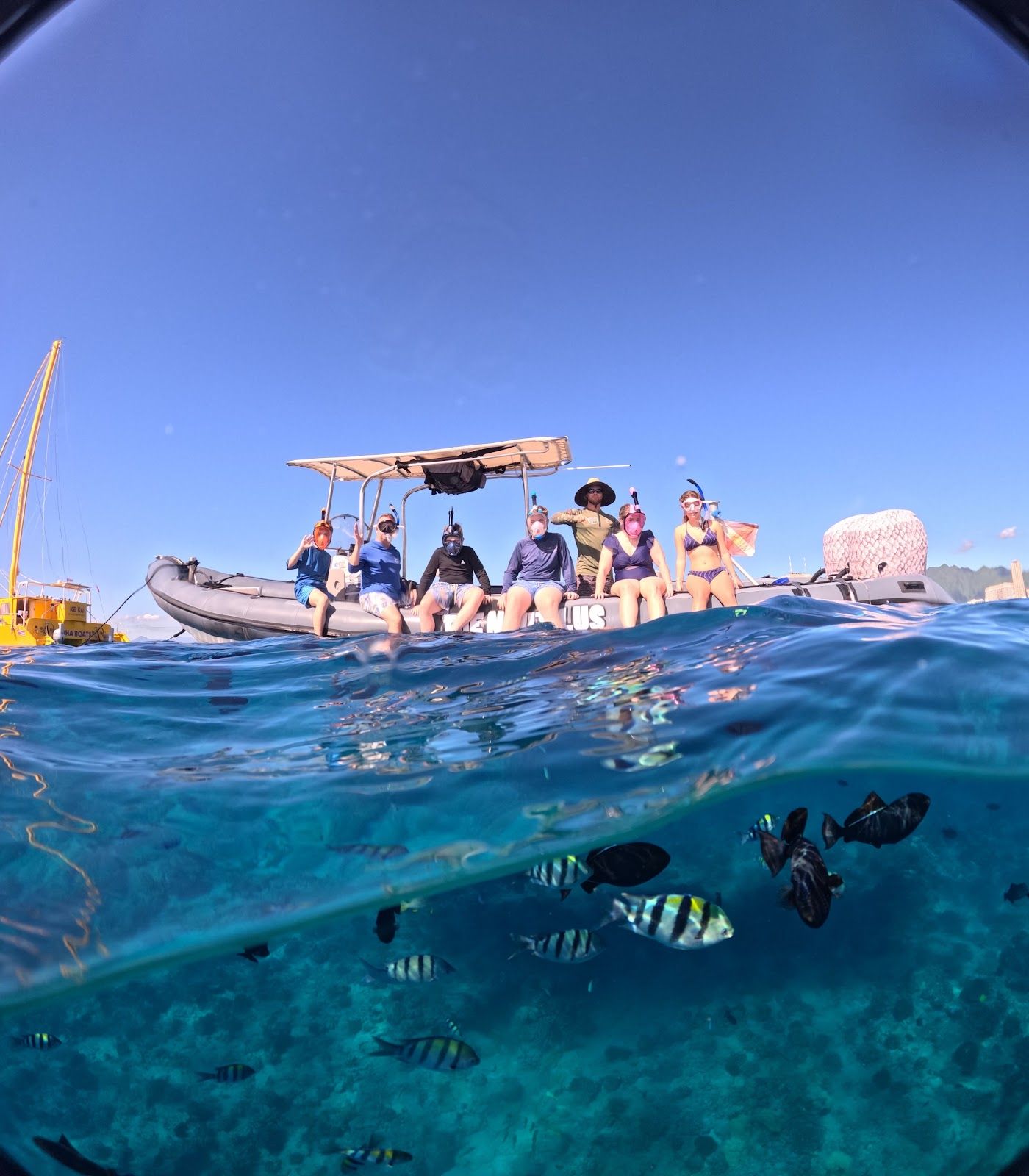 Photo 1 of Captain Max Boat Tours in Ala Moana & Mōʻiliʻili, Oahu