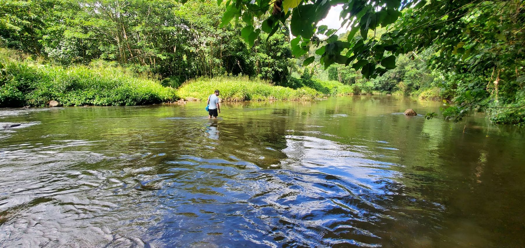 Uluwehi (Secret) Falls in Kapaʻa, Kaua‘i photo 5