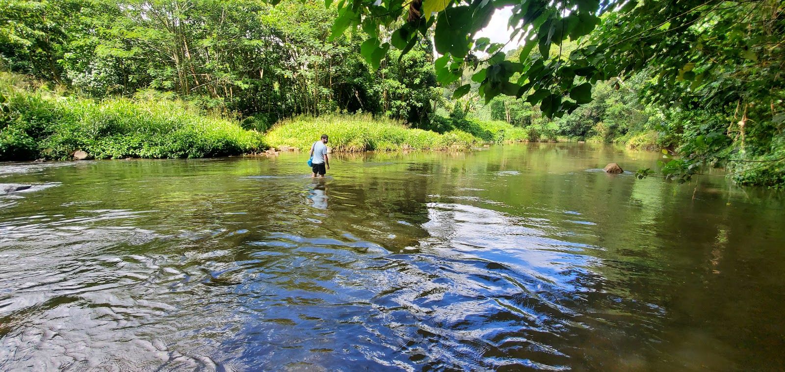 Uluwehi (Secret) Falls in Kapaʻa, Kaua‘i photo 5