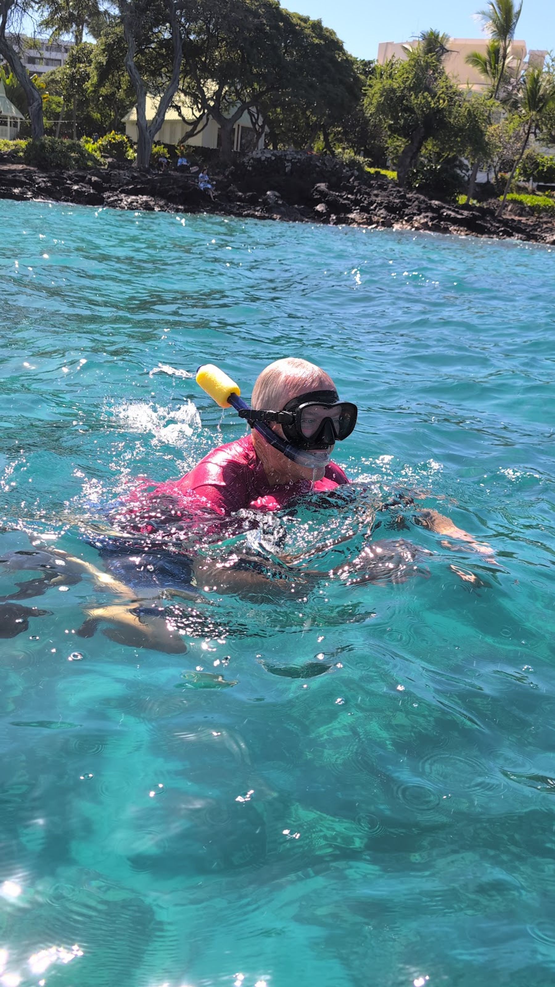 Photo 6 of Ocean Safaris Kayak Adventures in Kailua-Kona, Big Island