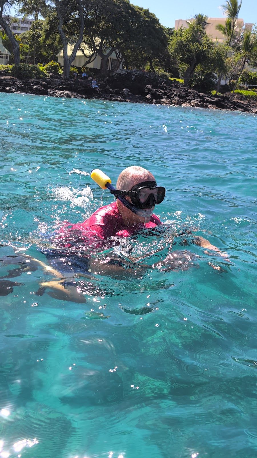Photo 6 of Ocean Safaris Kayak Adventures in Kailua-Kona, Big Island