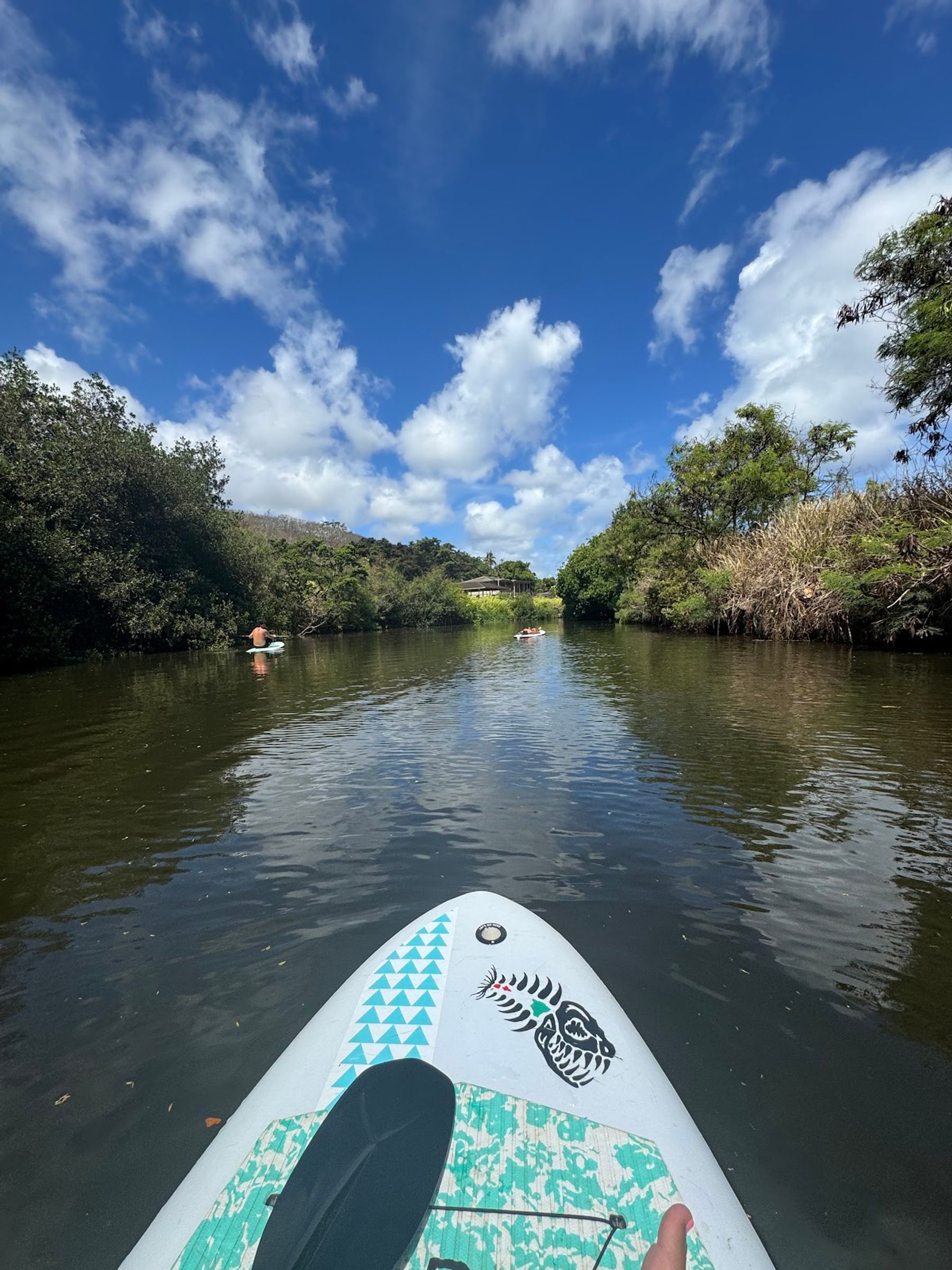 Photo 3 of Blue Planet Adventure Co in Haleʻiwa, Oahu