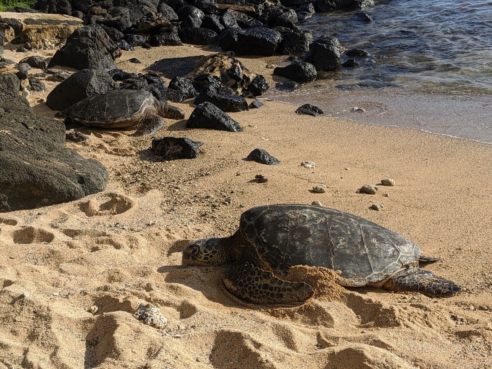 Baby Beach in Poʻipū, Kaua‘i photo 5