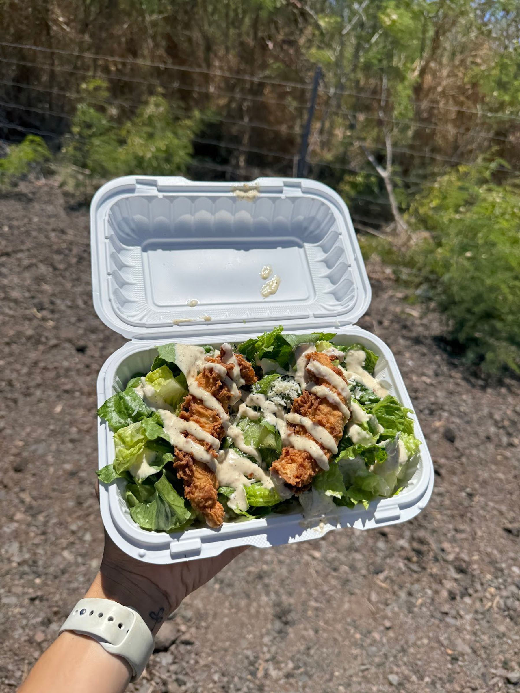Photo 6 of Chick-N-Dips in Kahuku & Turtle Bay, Oahu