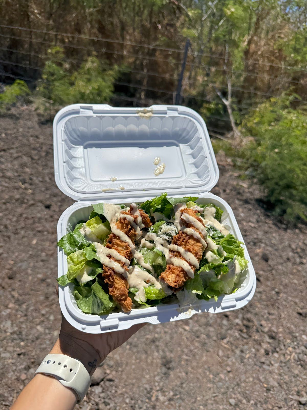 Photo 6 of Chick-N-Dips in Kahuku & Turtle Bay, Oahu