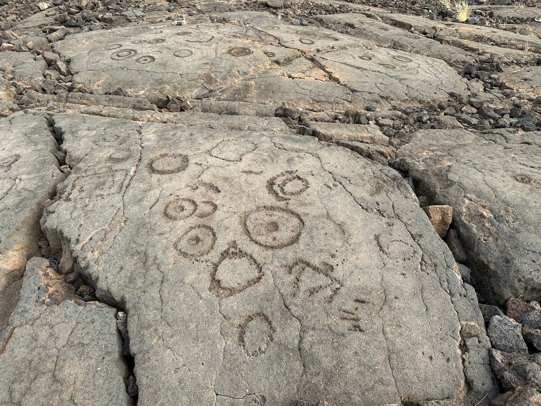 Photo 2 of Waikōloa Petroglyph Reserve in Waikoloa, Big Island