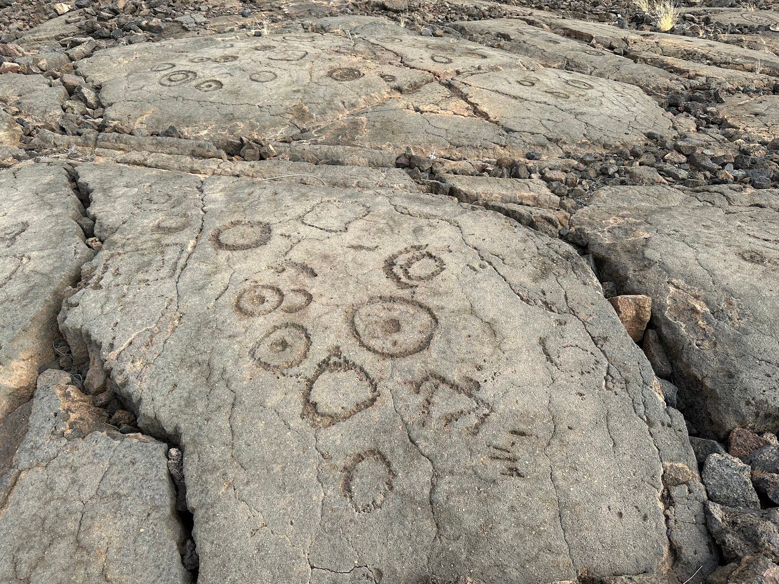 Photo 2 of Waikōloa Petroglyph Reserve in Waikoloa, Big Island