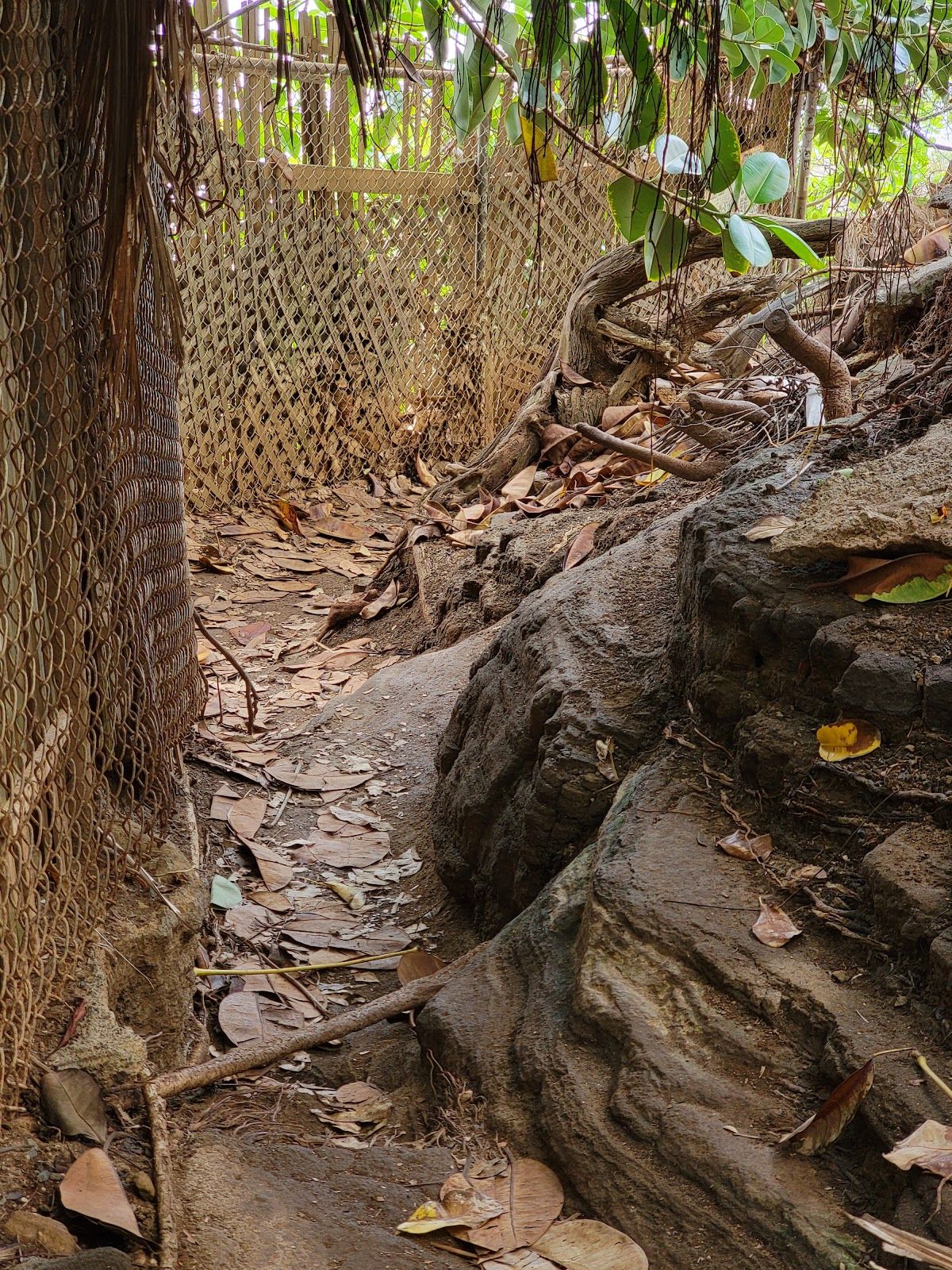 Photo 2 of Spitting Cave in Hawaiʻi Kai & East Honolulu, Oahu