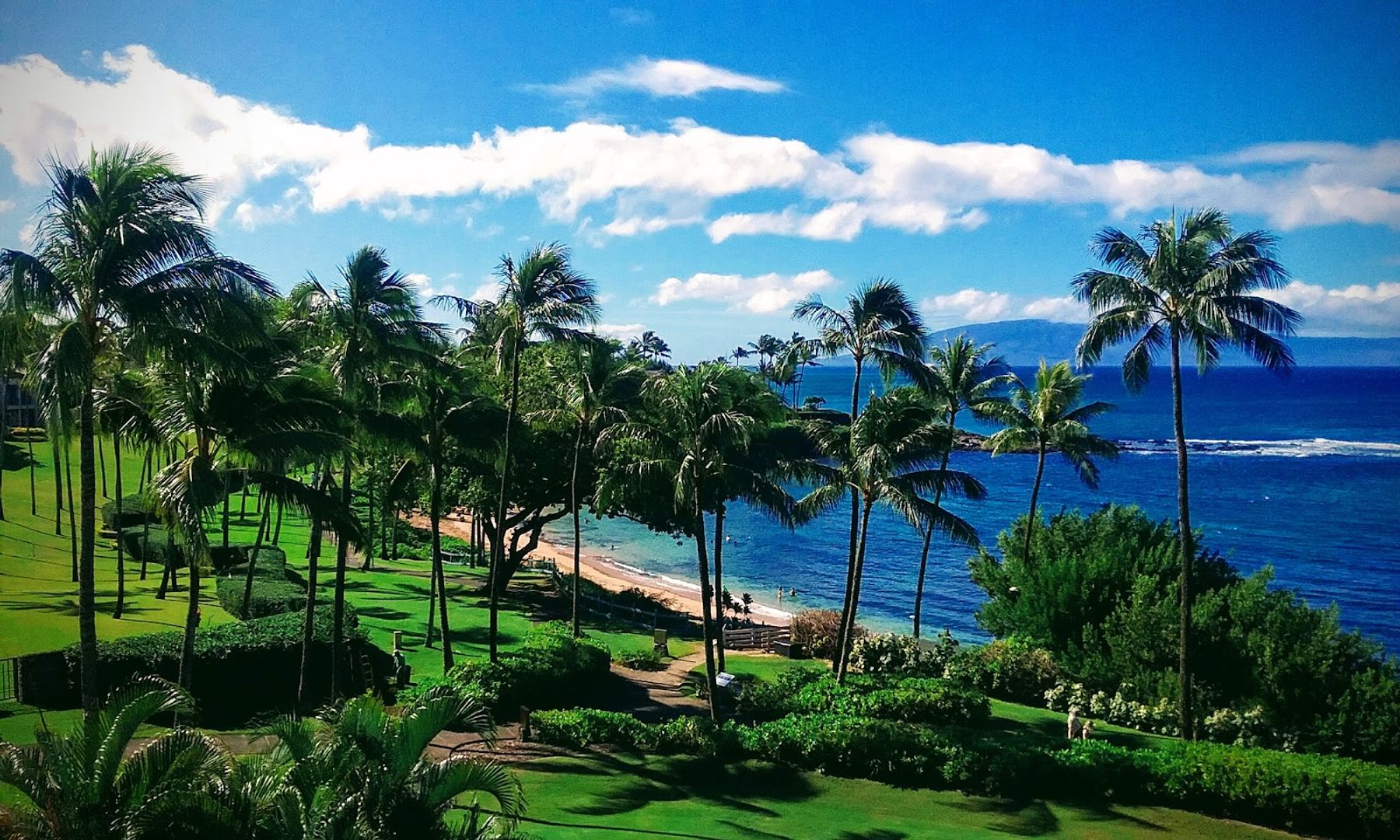 Photo 7 of Kapalua Bay Beach in Kapalua, Maui
