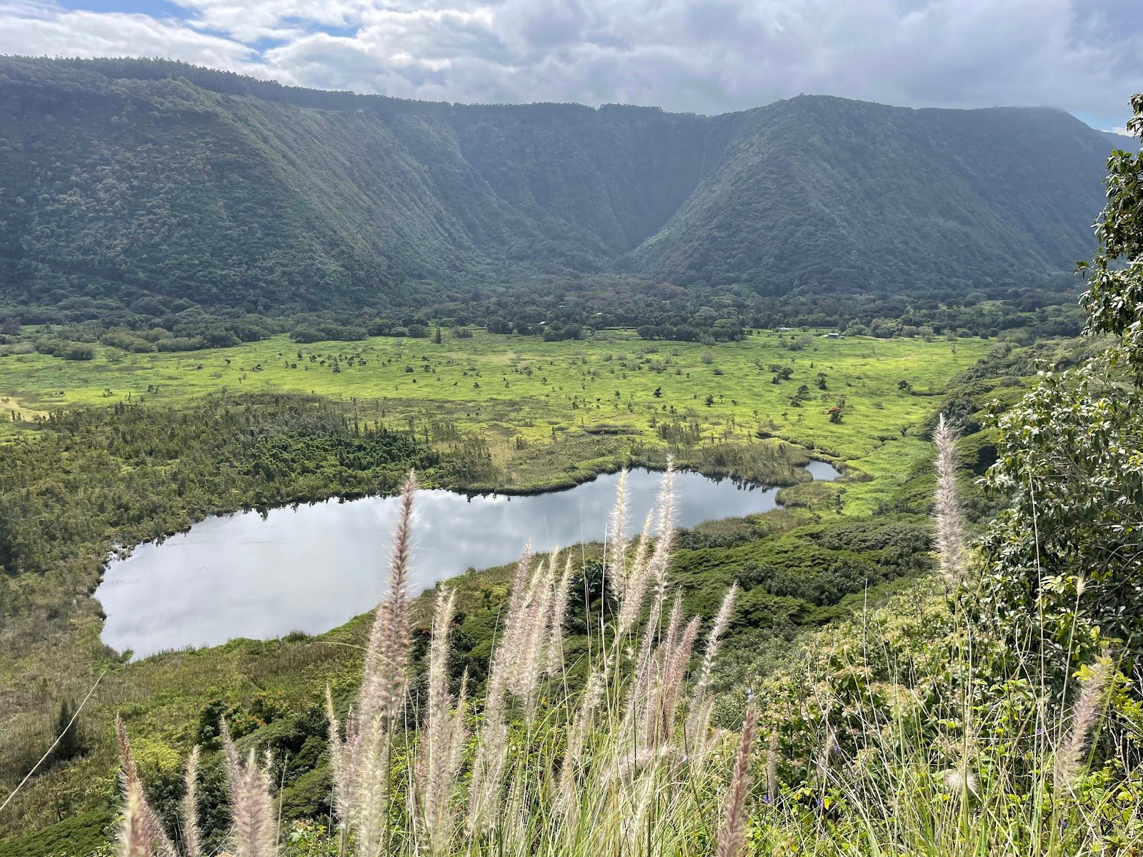 Photo 9 of Muliwai Trail in Waipiʻo, Big Island
