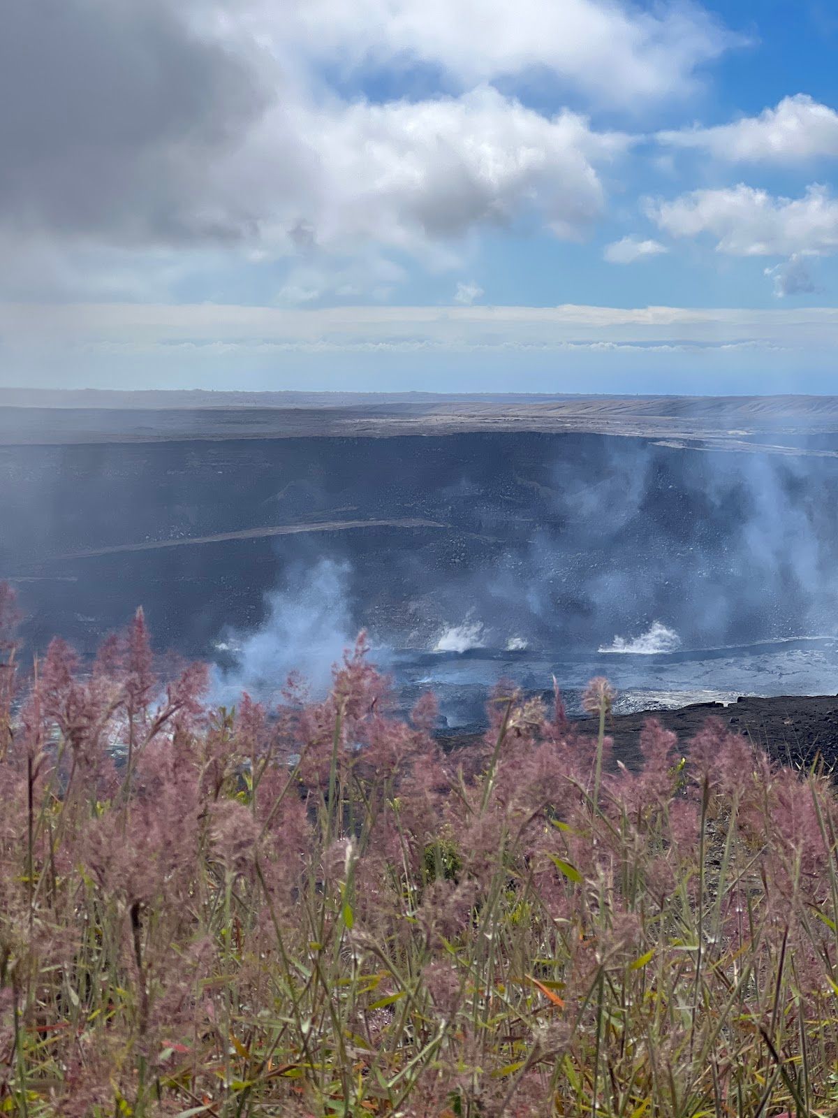 Photo 9 of Chain of Craters Road in Volcano, Big Island