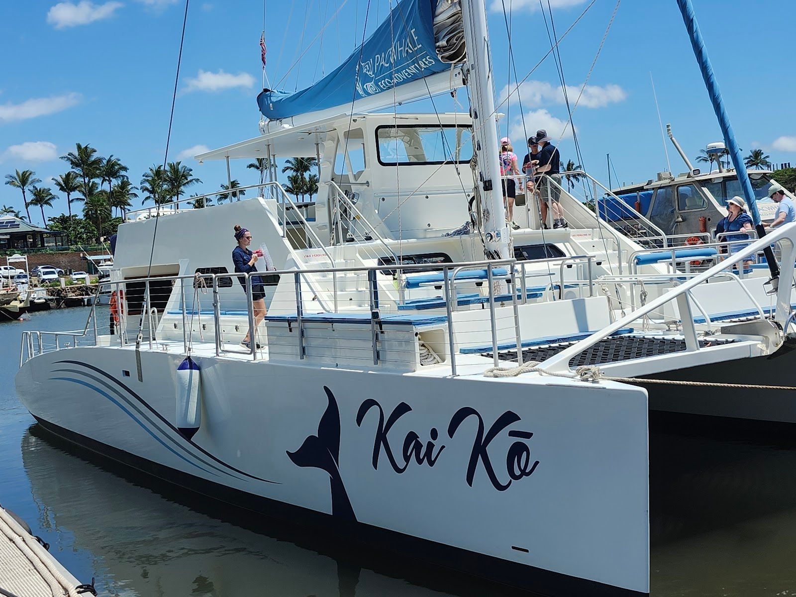 Photo 4 of PacWhale Eco-Adventures in Māʻalaea, Maui
